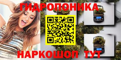 сатива Нальчик