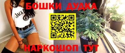 сатива Нальчик