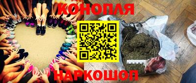 сатива Нальчик