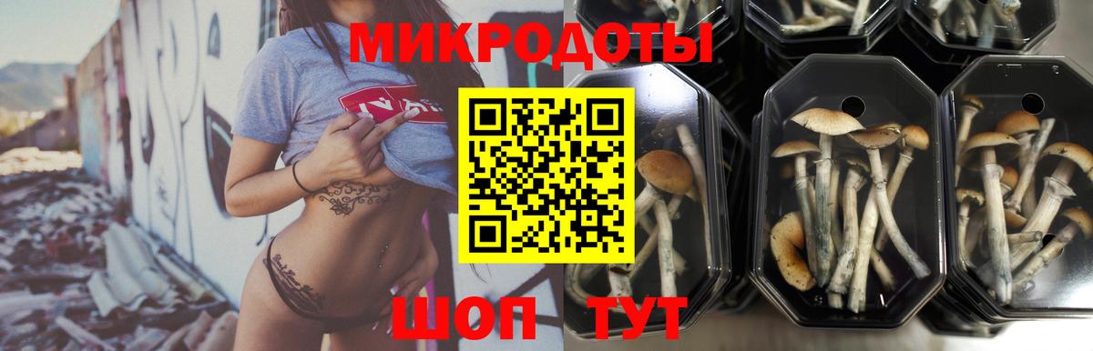 Скопин  Галлюциногенные грибы Cubensis  Вход с VPN  Галлюциногенные грибы прущие грибы 